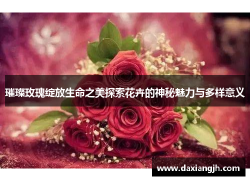 璀璨玫瑰绽放生命之美探索花卉的神秘魅力与多样意义